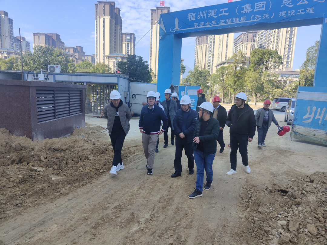 市國投公司領導赴金禾公司各在建項目開展農民工工資督查和安全、質量調研指導